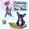 Calming Music for Pets – Relaxing Sounds for Cats & Dogs, Melodies to Calm Your Animal Companion album lyrics, reviews, download