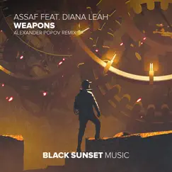 Weapons (feat. Diana Leah) [Alexander Popov Remix] Song Lyrics