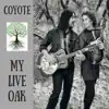My Live Oak - EP album lyrics, reviews, download