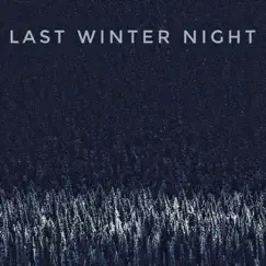 Last Winter Night - Single by Anpl album reviews, ratings, credits
