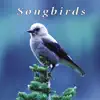 Songbirds album lyrics, reviews, download