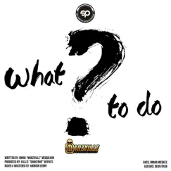 What To Do - Single by ShakerHD Productions & Marzville album reviews, ratings, credits