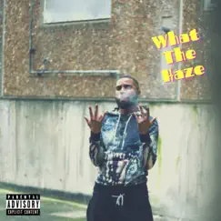 What the Haze - Single by Ten Dixon & Mac James album reviews, ratings, credits