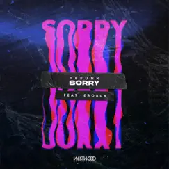 Sorry feat. Ero808 Song Lyrics