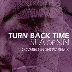 Turn Back Time (feat. Covered in Snow) [Covered in Snow Remix] Song Lyrics