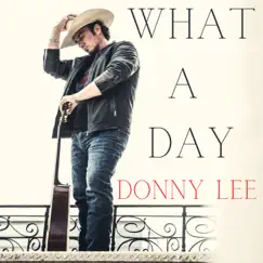 What a Day - Single by Donny Lee album reviews, ratings, credits