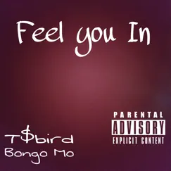 Feel You In (feat. T-Bird) - Single by Bongo Mo album reviews, ratings, credits