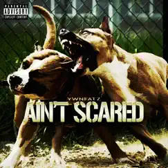 Aint Scared Freestlye - Single by YwnFatz album reviews, ratings, credits