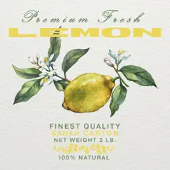 Lemon - Single by Girl Next Door album reviews, ratings, credits