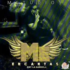 Me Encantas (Version 2016) Song Lyrics