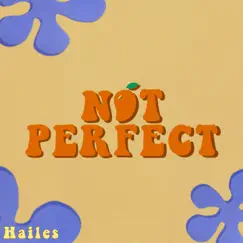 Not Perfect - Single by Hailes album reviews, ratings, credits