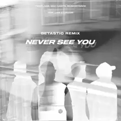 Never See You (feat. Liam Sturgess) Song Lyrics