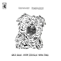 Old Dog New Tricks Who This (feat. Factor Chandelier & Gregory Pepper & His Problems) by Common Grackle album reviews, ratings, credits