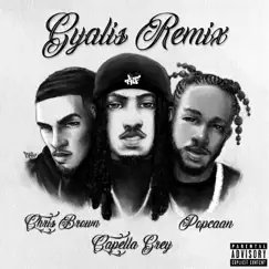 GYALIS (feat. Chris Brown) [Remix] Song Lyrics