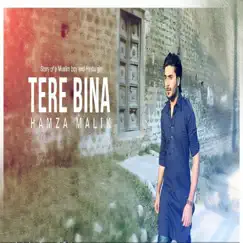 Tere Bina - Single by Hamza Malik album reviews, ratings, credits