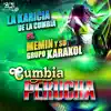 Karicia de la Cumbia Vs Memin y Su Grupo Karakol (feat. La Karicia De La Cumbia & MEMIN Y SU GRUPO KARAKOL) album lyrics, reviews, download