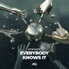 Everybody Knows It (Extended Mix) song lyrics