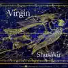 Virgin - Single album lyrics, reviews, download