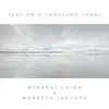 Take On A Thousand Forms - Single album lyrics, reviews, download