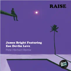 Raise (feat. Zoe Devlin Love) [Pete Herbert Remix] - Single by James Bright album reviews, ratings, credits