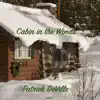 Cabin in the Woods - Single album lyrics, reviews, download