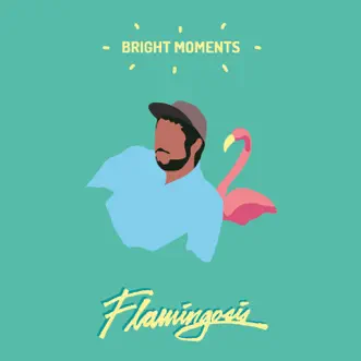 Bright Moments by Flamingosis album download