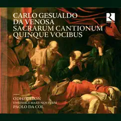 Gesualdo da Venosa: Sacrarum cantionum quinque vocibus by Odhecaton, Ensemble Mare Nostrum, Paolo da Col & Liuwe Tamminga album reviews, ratings, credits