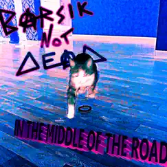 In the Middle of the Road - Single by Barsiknotdead album reviews, ratings, credits