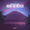 Now or Never (feat. Aniela) - Single album lyrics, reviews, download