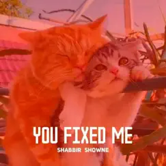 You Fixed Me - Single by Shabbir Showne album reviews, ratings, credits