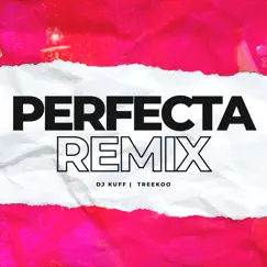 Perfecta (Remix) - Single by DJ Kuff & Treekoo album reviews, ratings, credits