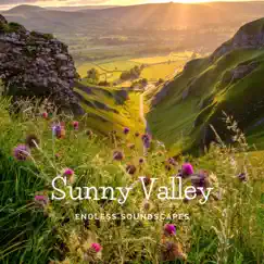 Sunny Valley Song Lyrics