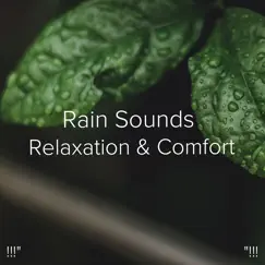 雨の音をリラックス Song Lyrics