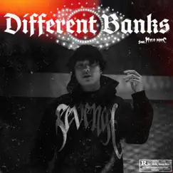Different Banks (feat. Mylo Panic) Song Lyrics