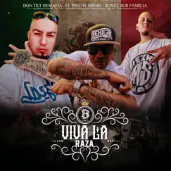 Viva la Raza (feat. El Pinche Brujo & Bonez Sur Familia) Song Lyrics