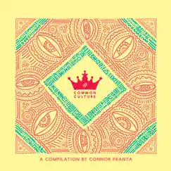 Common Culture, Vol. 3 (Edited Version) by Connor Franta album reviews, ratings, credits