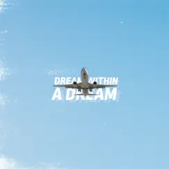 Dream Within a Dream - Single by Alexandr Misko & HRCRX album reviews, ratings, credits