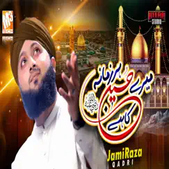 Zamana Mere Hussain Ka Hai - Single by Jami Raza Qadri album reviews, ratings, credits