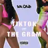TikTok Vs the Gram - Single album lyrics, reviews, download
