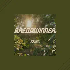 Breadwinner (feat. Lofitrix) Song Lyrics