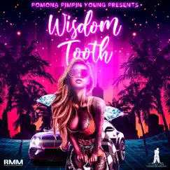 Wisdom Tooth - Single by Pimpin' Young album reviews, ratings, credits