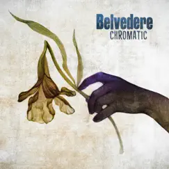 Chromatic - EP by Belvedere album reviews, ratings, credits