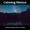 Calming Nature album lyrics, reviews, download