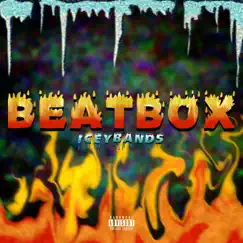 Beatbox - Single by Icey Bands album reviews, ratings, credits
