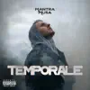 Temporale - Single (feat. DJ Fede) - Single album lyrics, reviews, download