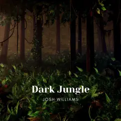 Dark Jungle - Single by Josh Williams album reviews, ratings, credits