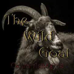 Hold Me close (feat. Claudio Dibaise, Jeff Bowman & Marcel Breault) - Single by The Wild Goat album reviews, ratings, credits