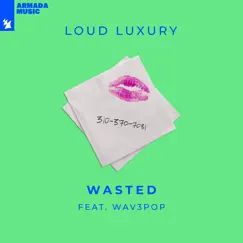 Wasted (feat. WAV3POP) Song Lyrics