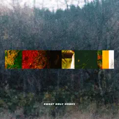 Sweet Holy Honey - Single by Sango & Xavier Omär album reviews, ratings, credits