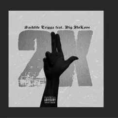 2x (feat. Big NoLove) - Single by Sacklife Trigga album reviews, ratings, credits
